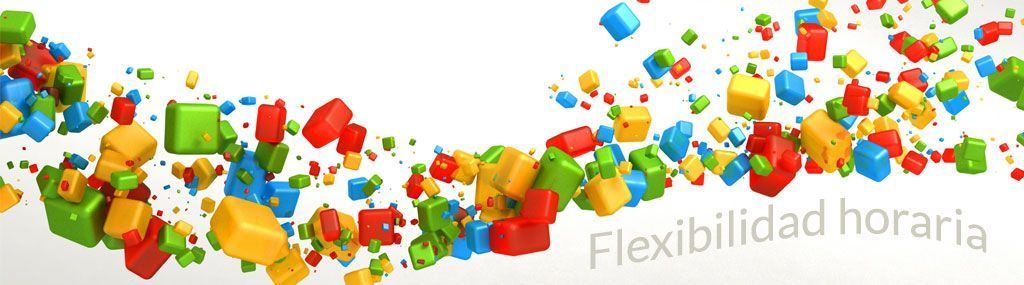 Flexibilidad Horaria